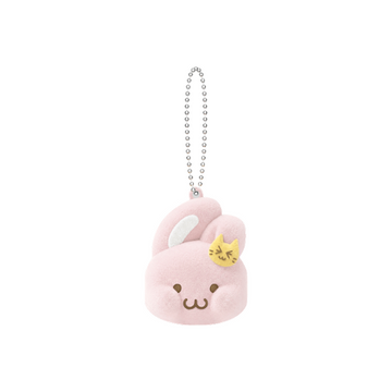 NEW ARRIVALS – Swiss K-POPup